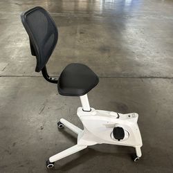 Flexispot FC211 Bike Chair