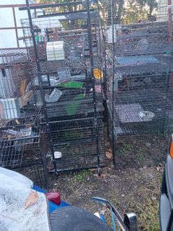 Rabbit cages. Can be used for chickens ,cats