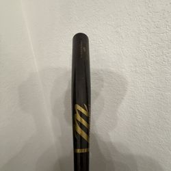 Marucci Ap5 Maple Wood Bat 