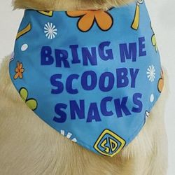 Scooby Doo Bring Me Scooby Snacks Pet Bandanna - M/L