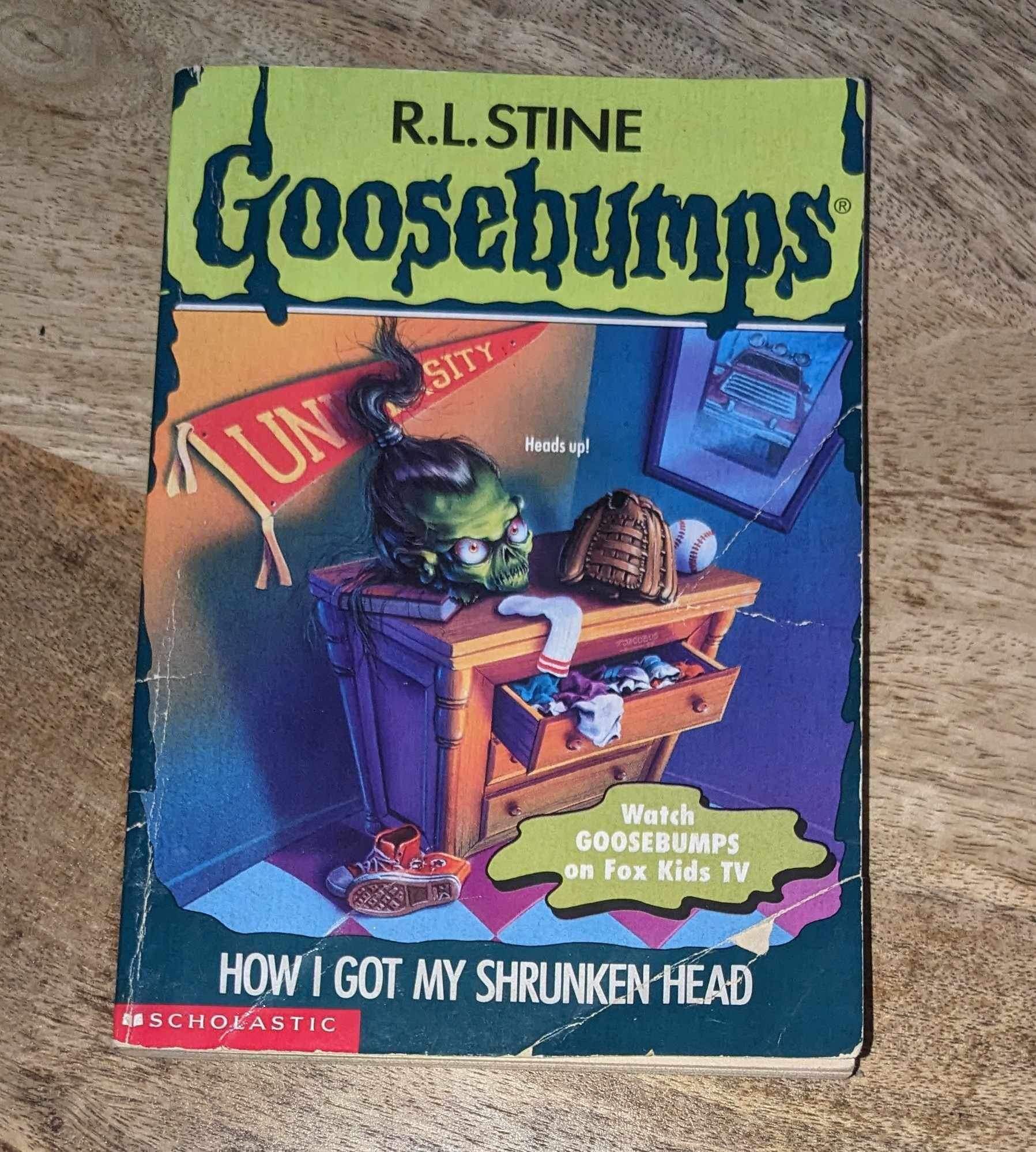 Vintage Rl Stine Goosebumps How I Got My Shrunken Head Book - 1996