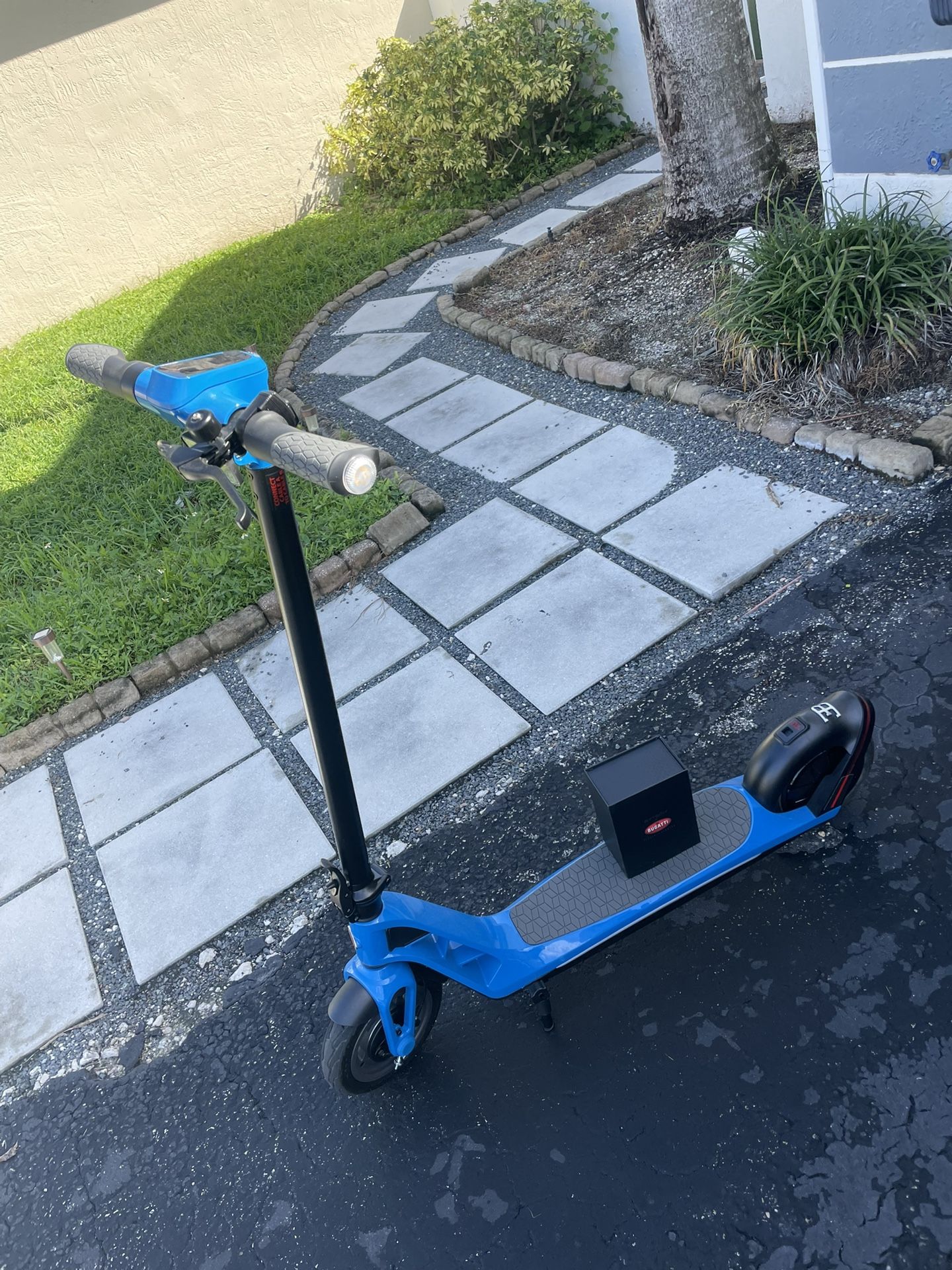 Electric Scooter