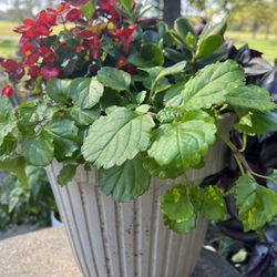 Flower Arrangement In Extra Large Ceramic Pot