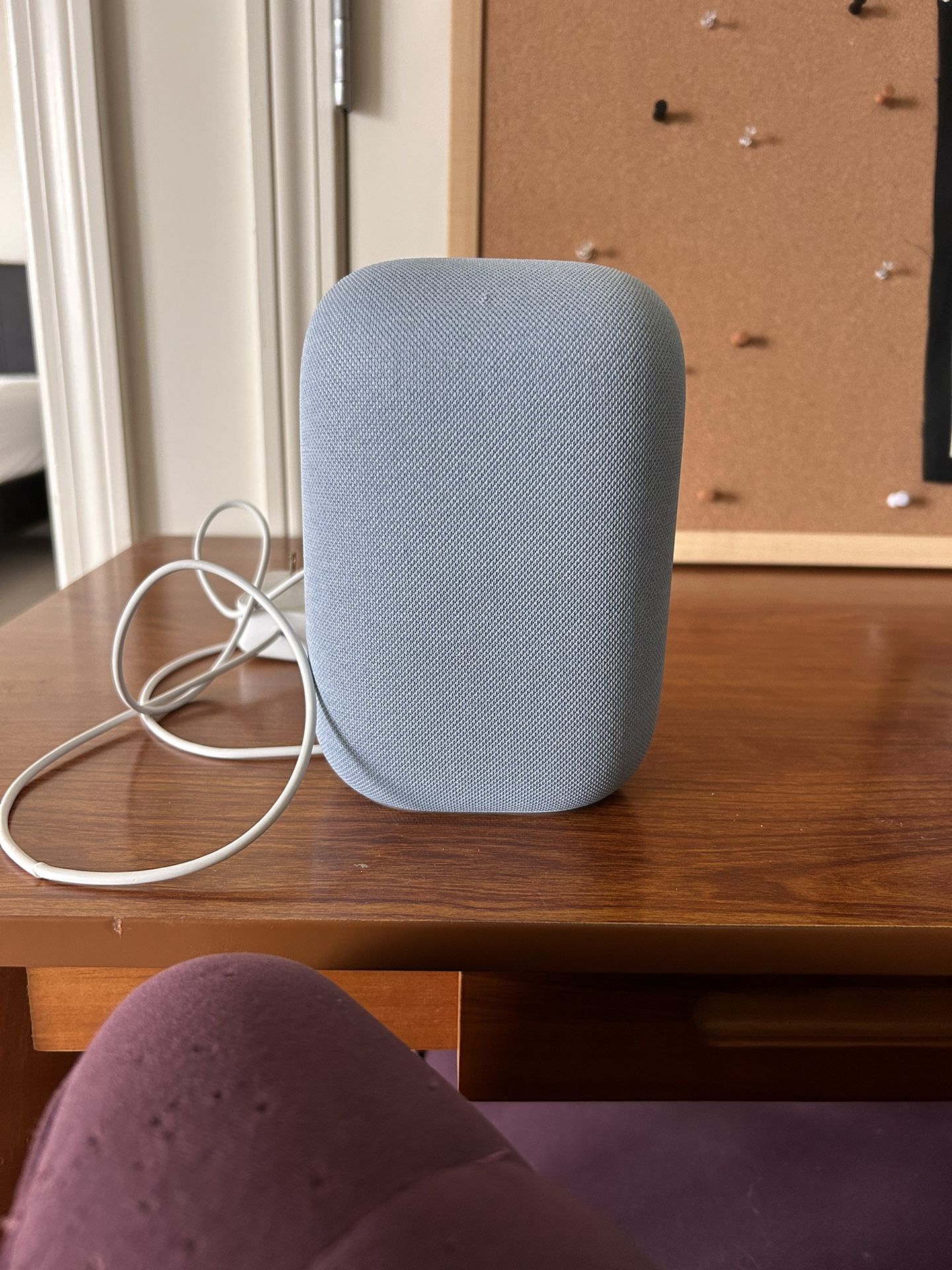 Google Nest Speaker