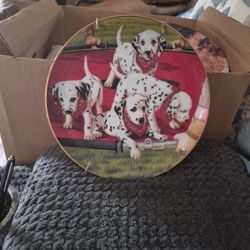 This Is A Collection Plate. It Said On The Back  Jump Drill.  The Year 1992