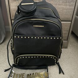 Diaper Bag (Steve Madden)