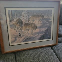 Framed Wolf Picture