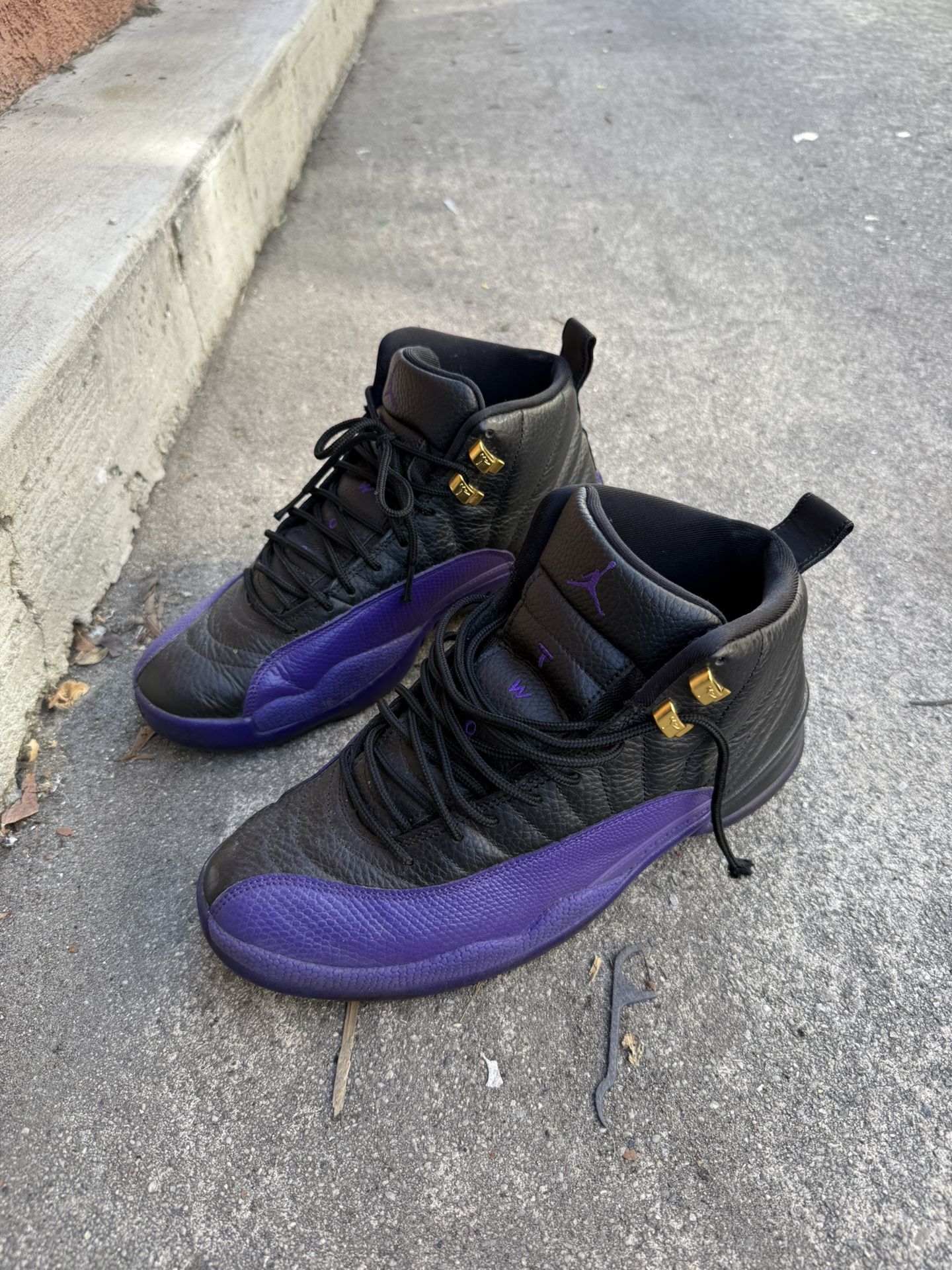 jordan 12