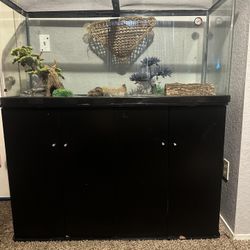 60 Gallon Tank With Stand