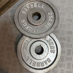 2 x 25 Lb Gym Plates