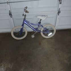 Girls 16 Inch Bike