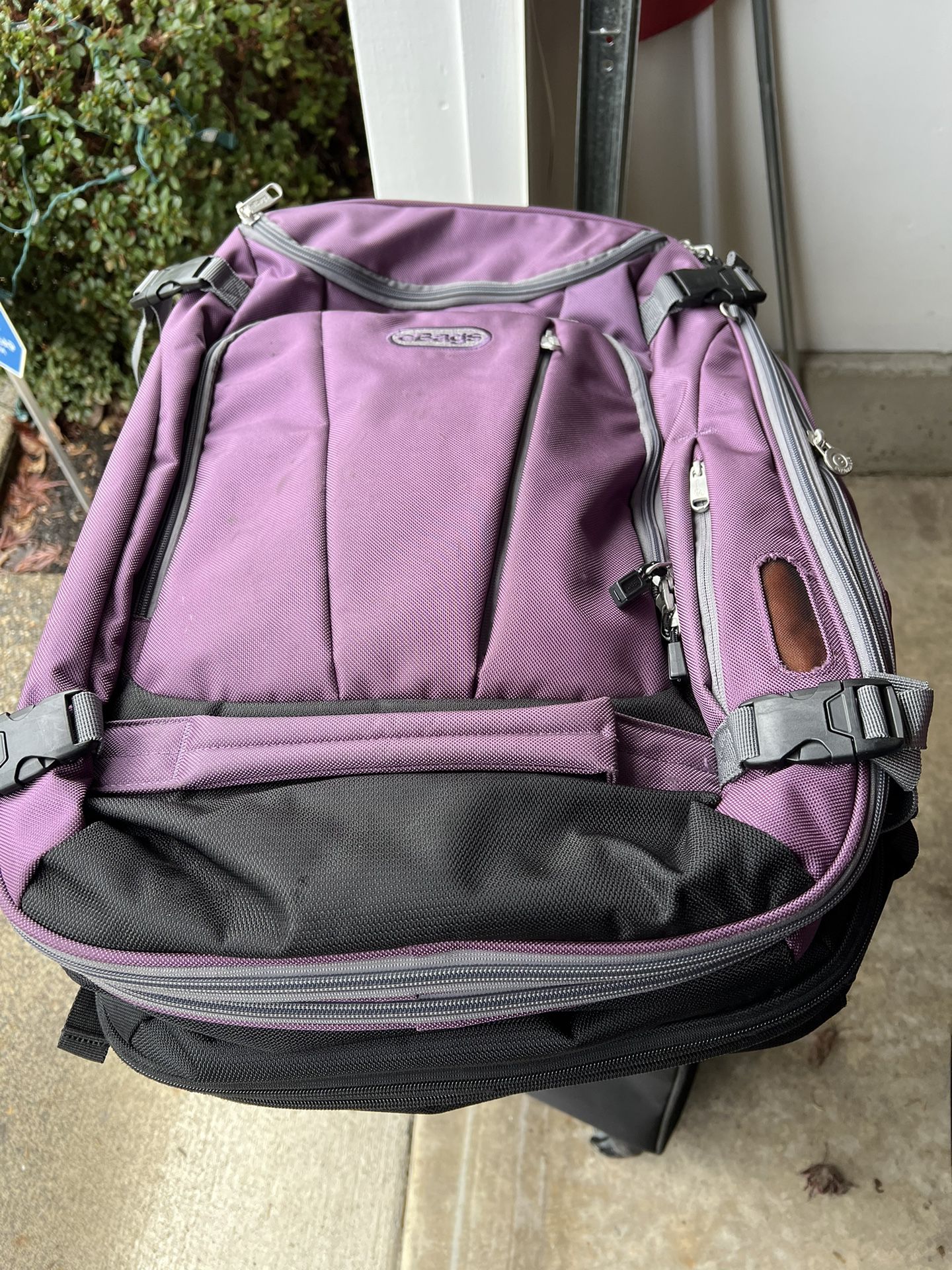 Backpack (eBag Mother Lode)
