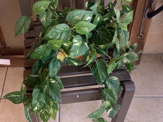 Planta artificial