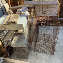 Chicken/Bird Cages