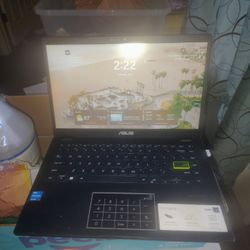 Asus 14" Laptop