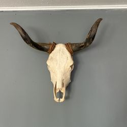 Bull Skull 