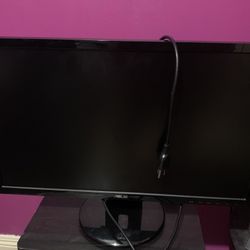 Asus Computer Monitor 