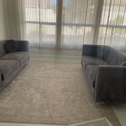 2 Couch And Coffee Table 