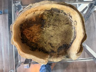 Reptile Dish Bowl