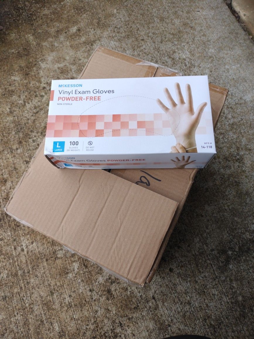 Vinyl Exam Gloves Powder Free (Large)