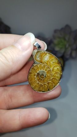 Ammonite Pendant