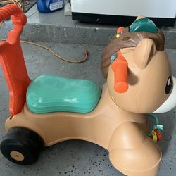 Baby Horse