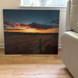Canvas Prints - 20 Each