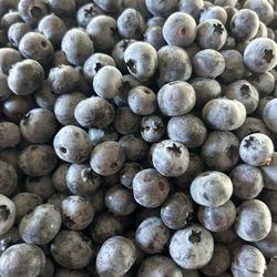 Picked daily! 100% Organic Blueberries