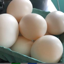 Organic Chicken Eggs