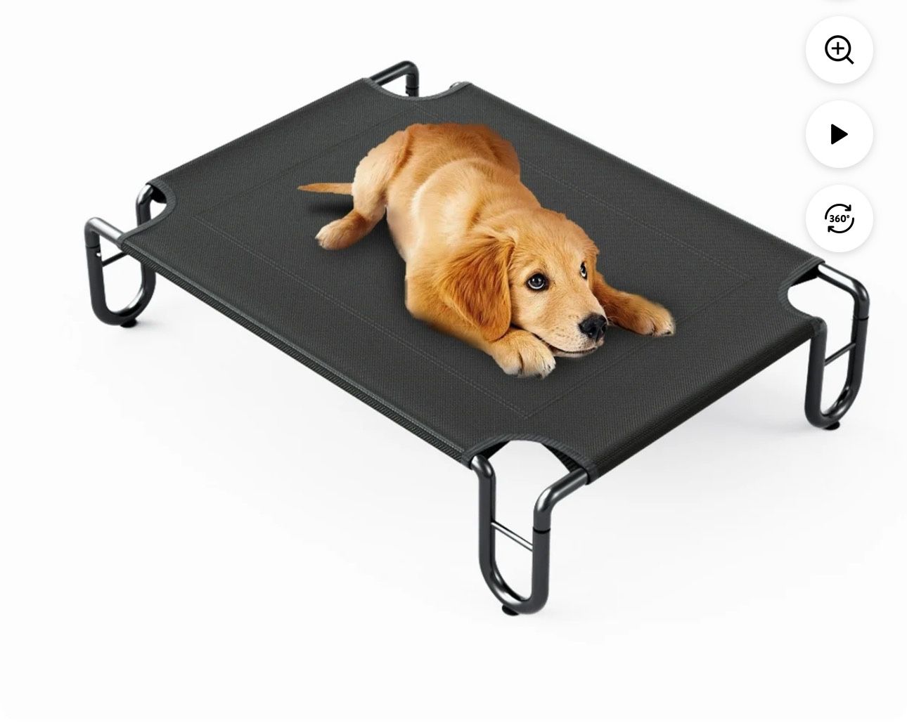 Raised Dog Bed