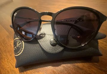 Ray-Ban Erika Sunglasses with Case