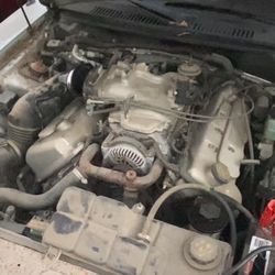 Ford Mustang Cobra Svt Coupe 