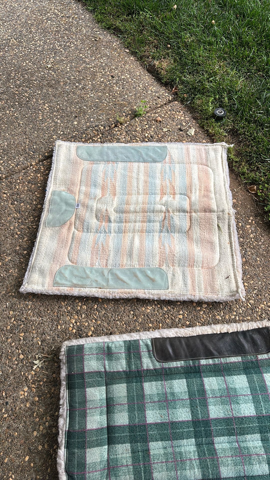 horse blanket