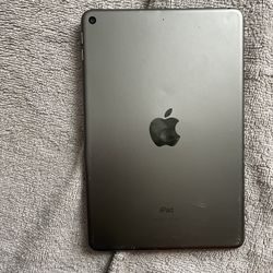 Ipad mini 5th gen gray