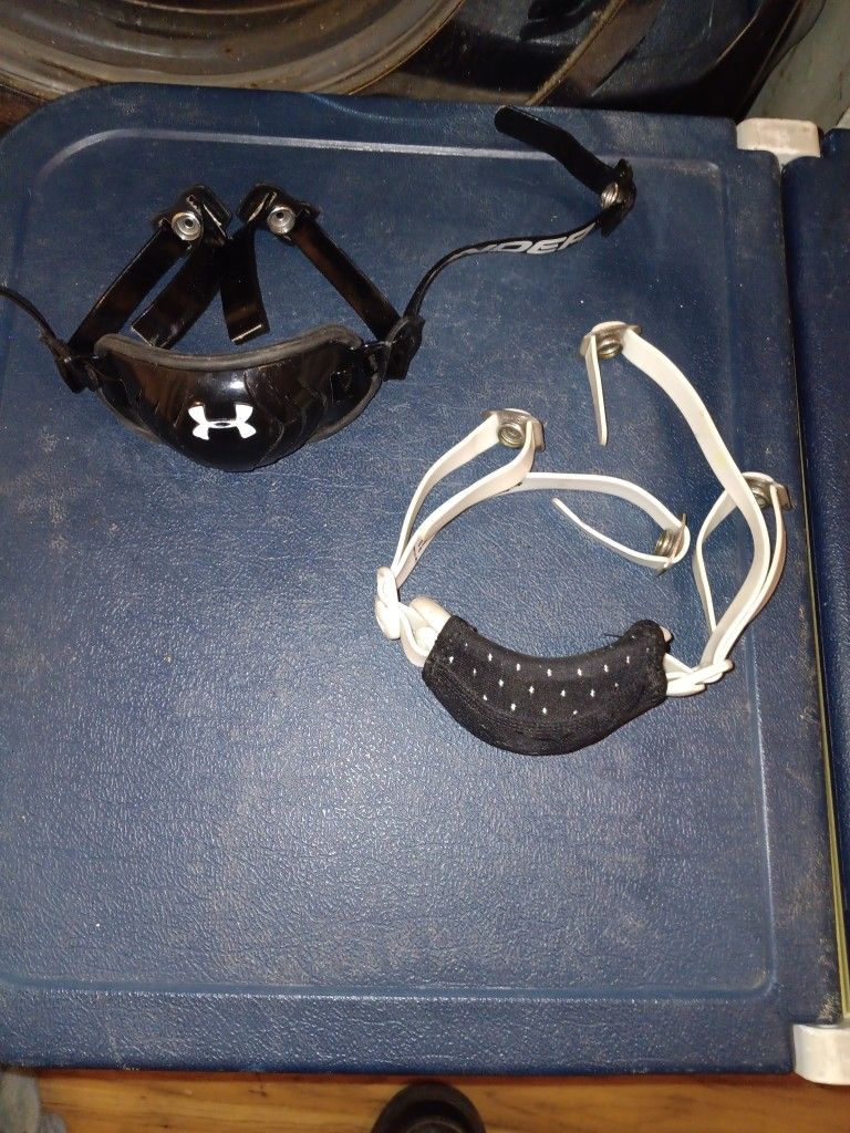 2 Chain Guards