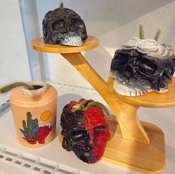 Cactus stand