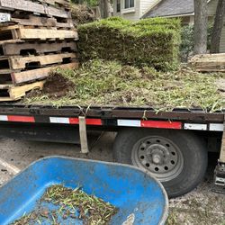 Grass Sod 