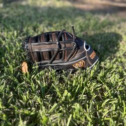 Softball and Baseball Gloves
