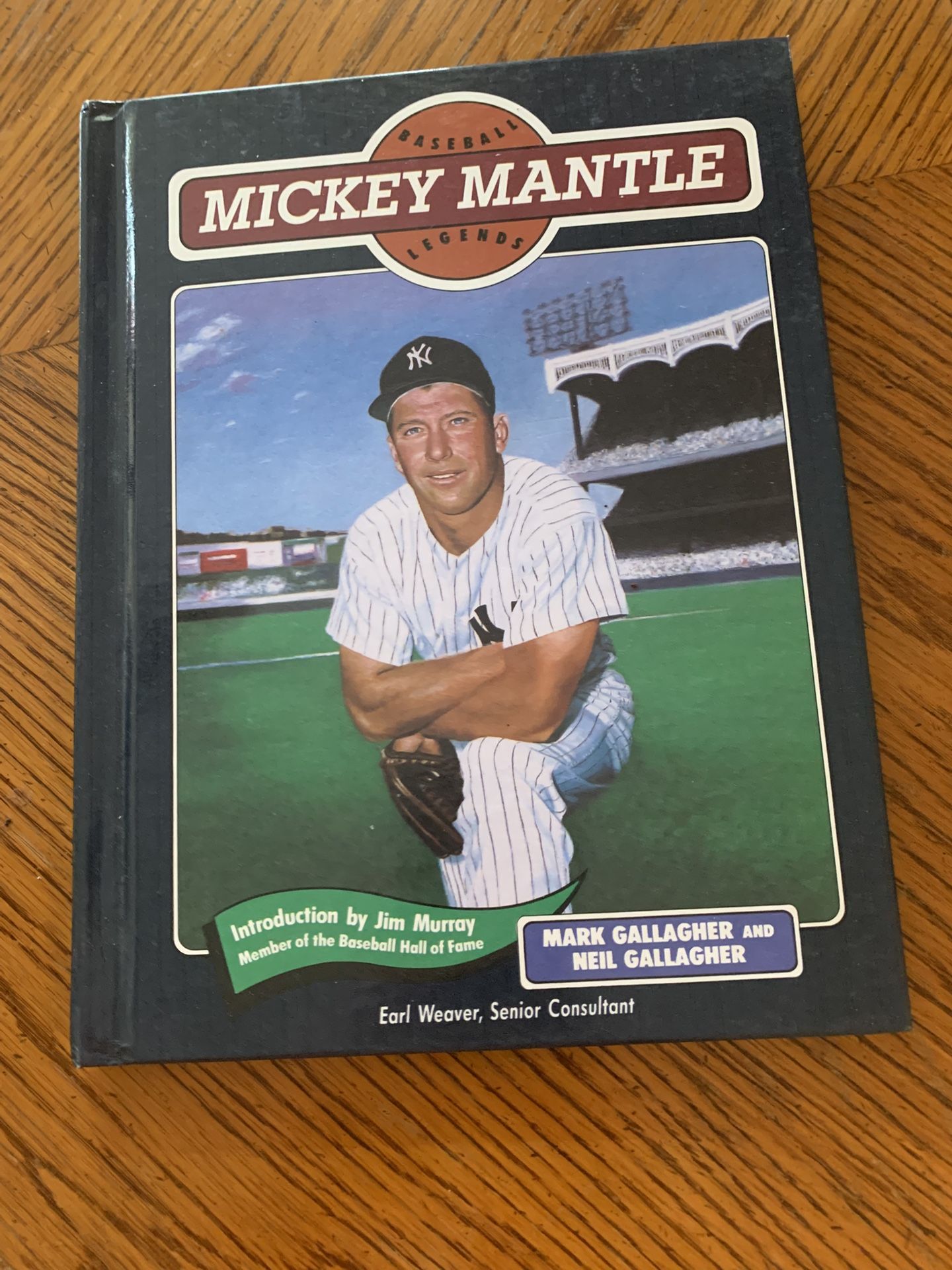 Mickey Mantle kids book