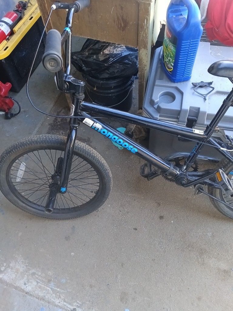 Mongoose 20 Inch Bike