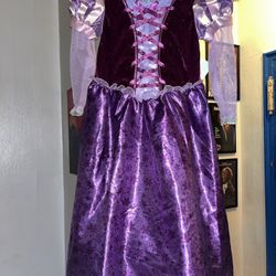 Disney Rapunzel Costume