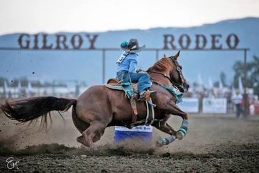 Gilroy Rodeo tickets