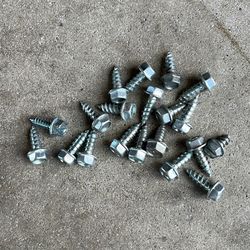 1 1/2 Long Screws X 1/4 Thick 
