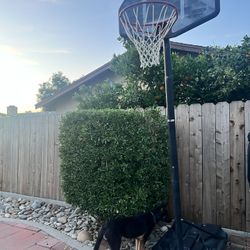 Basketball Hoop