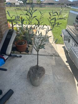 Artificial plant