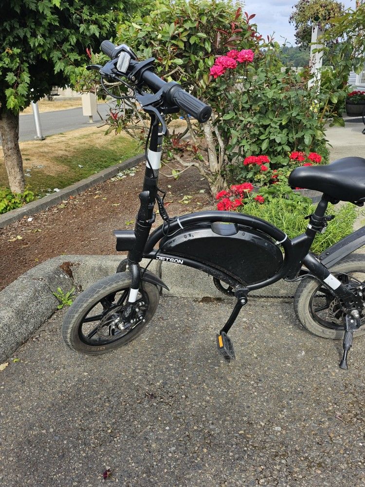 Electric Bike