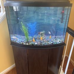 Fish Tank 45 Gallons