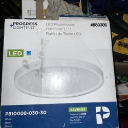 Light 