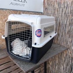 Animal kennel crate