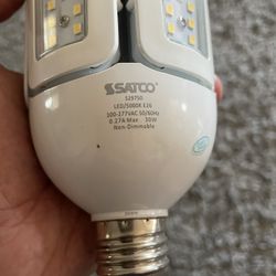 Satco Led Light 30wt